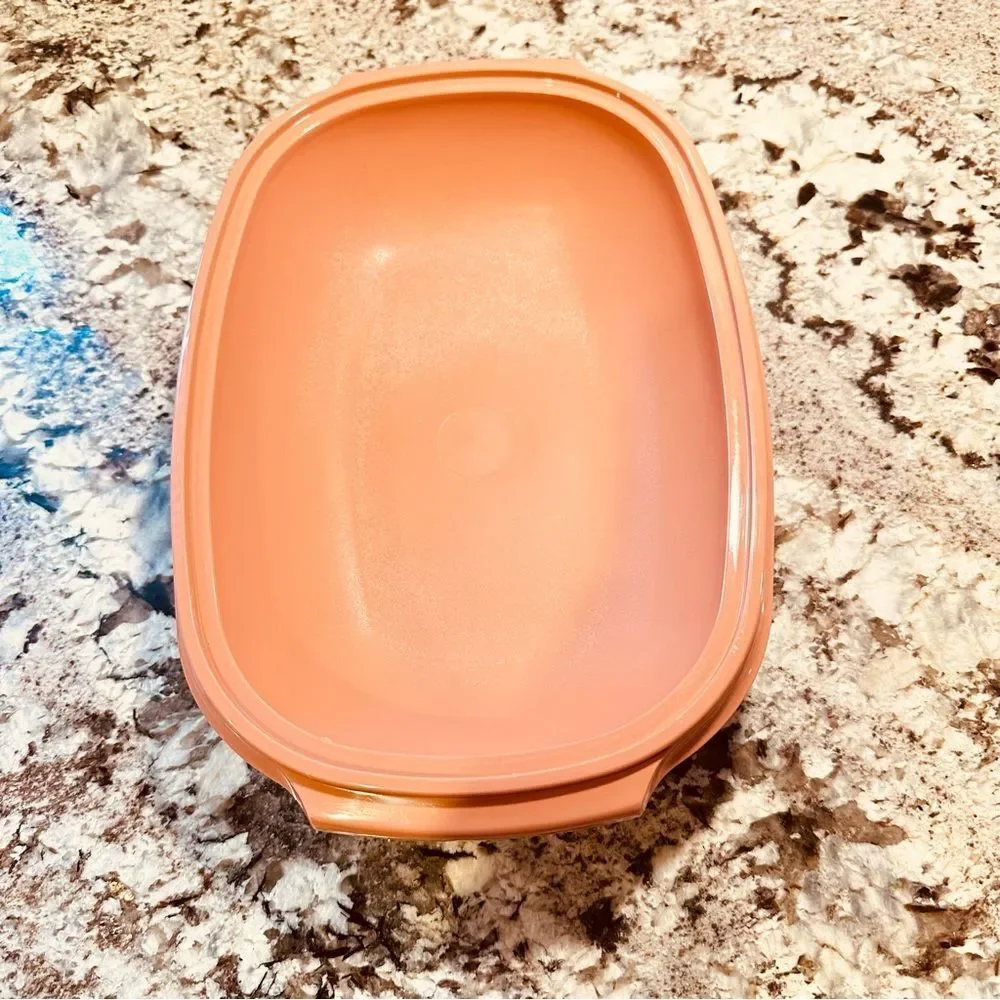 Tupperware Steamer‎ Vintage